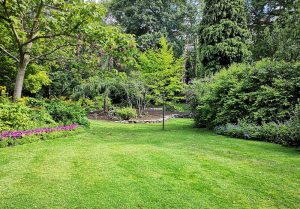 Optimiser l'expérience du jardin à Rouhe