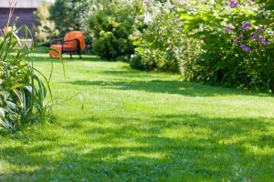 travaux jardin et paysage Rouhe